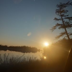 Meet your Posher, Soph